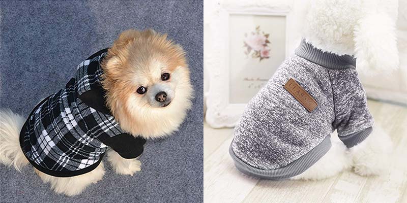 ropa para mascotas